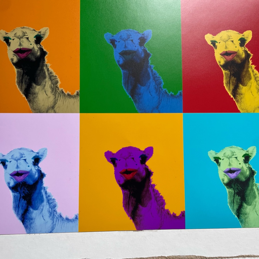 Colourful Camel 🐪 Print - Picture 2 of 9